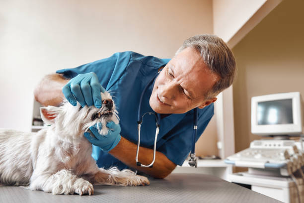 Best 24-Hour Emergency Dentist in West Lake Hills, TX