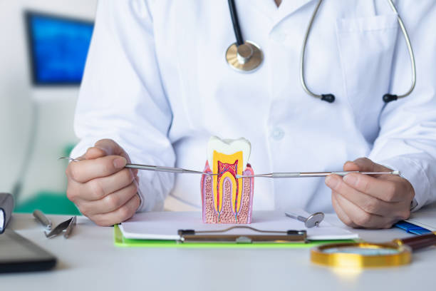 Best Emergency Root Canal Treatment in West Lake Hills, TX